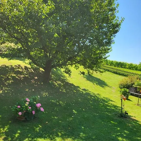 Ferienhaus Zangl Am Seggauberg - Suedsteiermark Leibnitz Exterior photo
