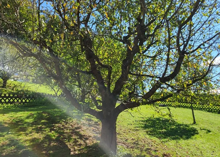 Ferienhaus Zangl Am Seggauberg - Suedsteiermark