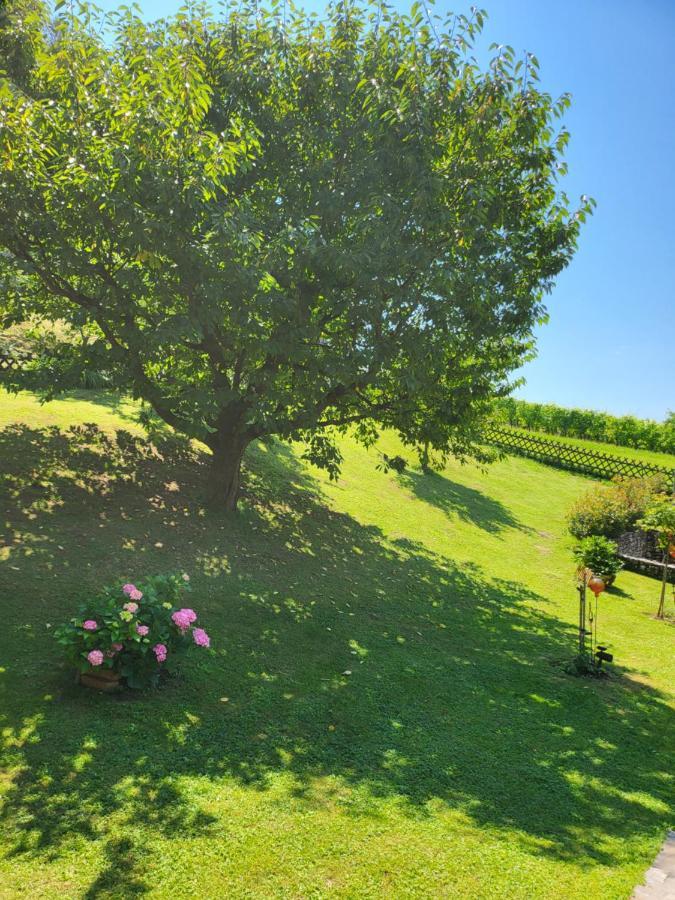 Prázdninový dům Zangl Am Seggauberg - Suedsteiermark