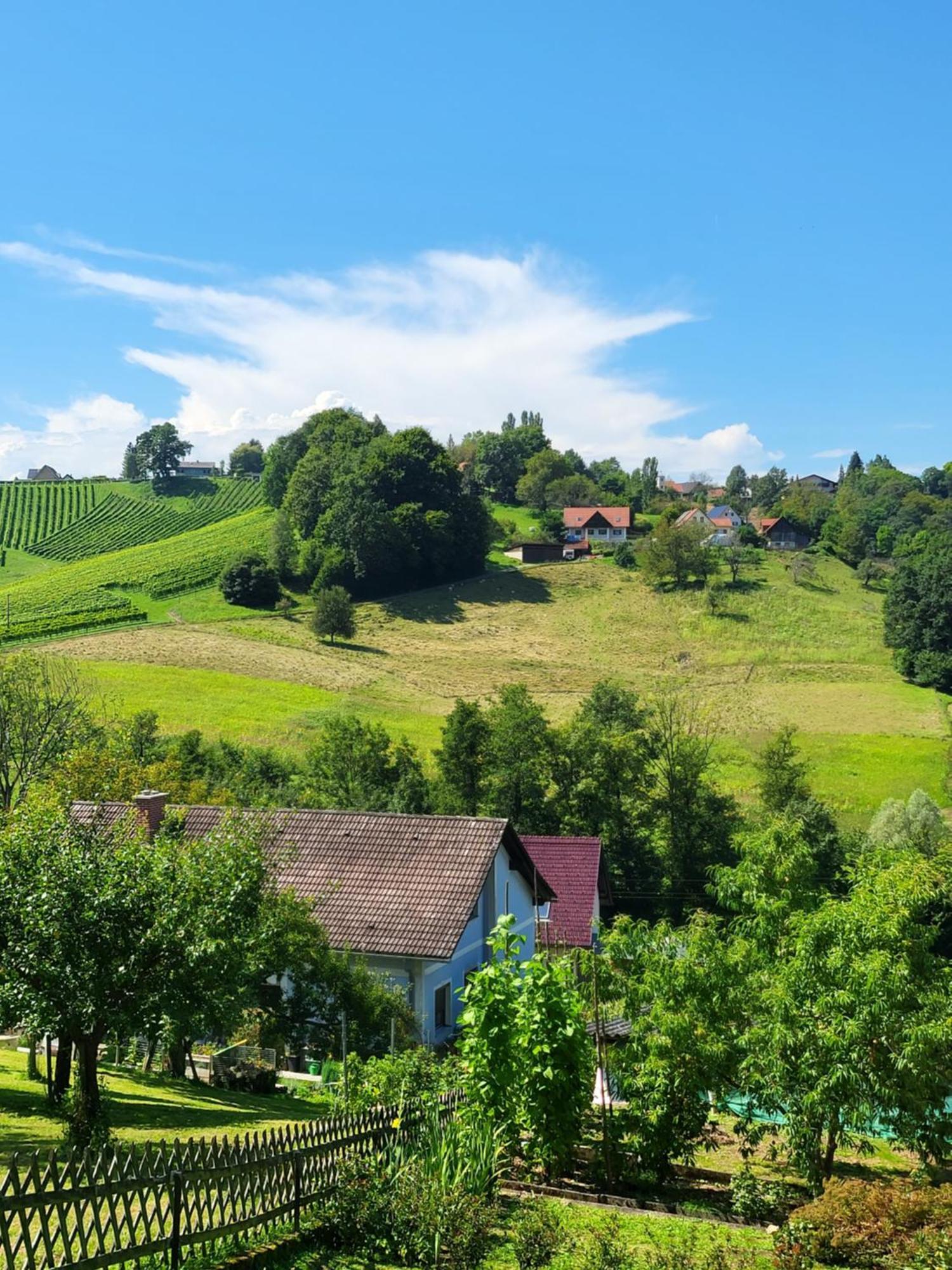Zangl Am Seggauberg - Suedsteiermark Leibnitz