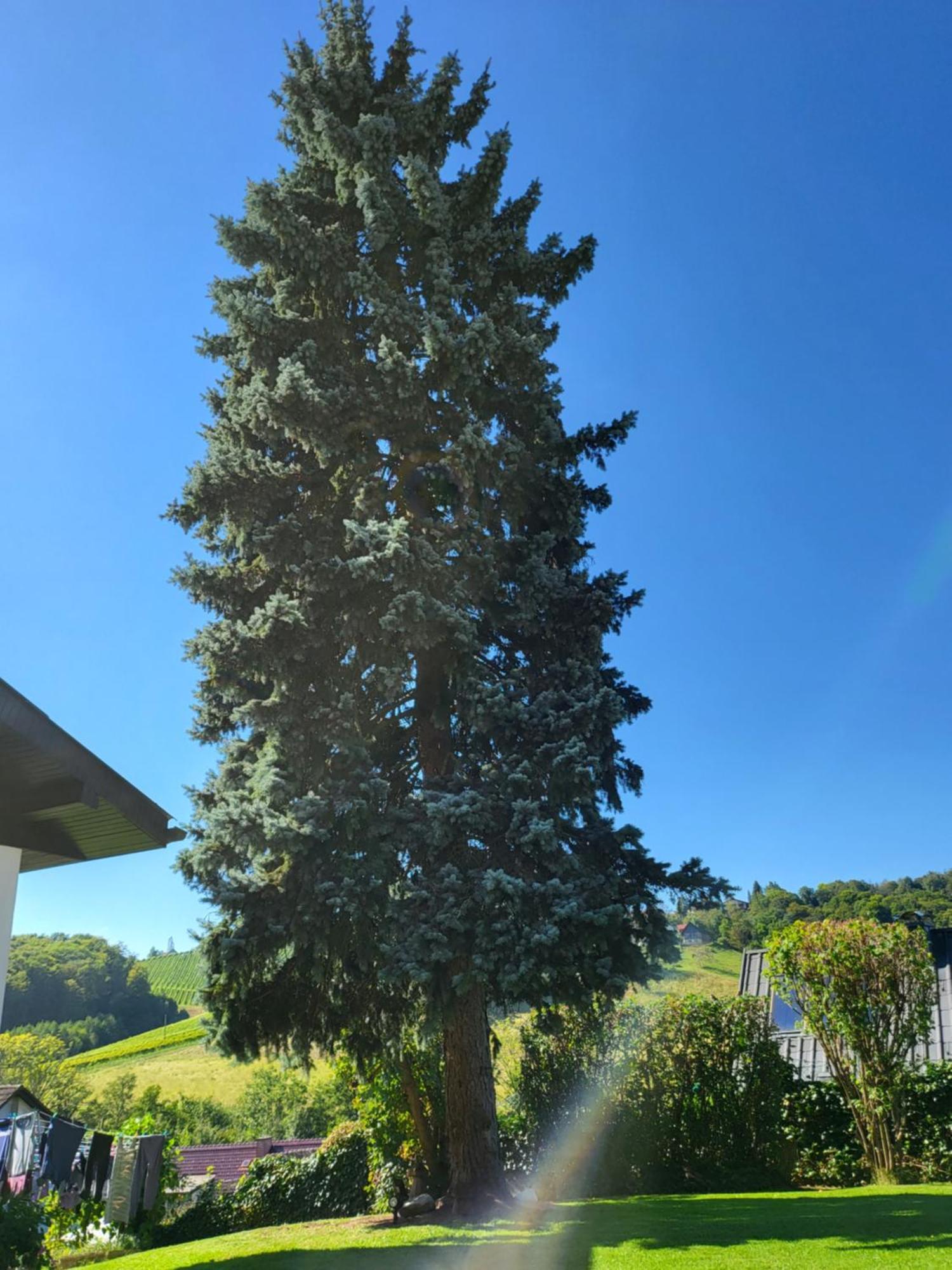 Zangl Am Seggauberg - Suedsteiermark Holiday home *