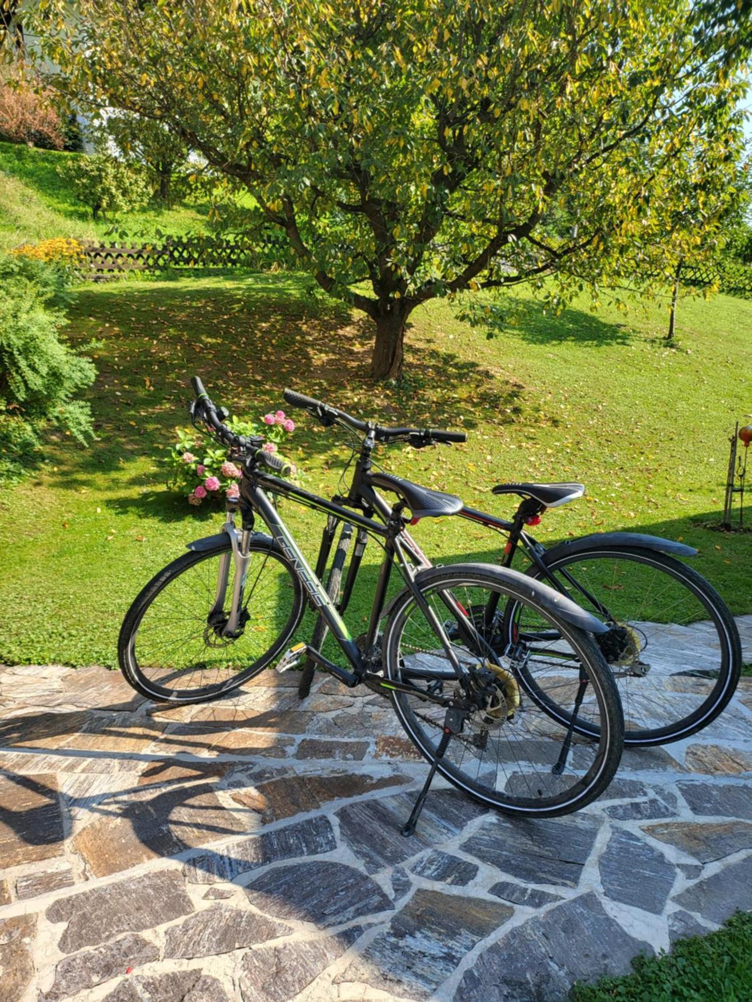 Prázdninový dům Zangl Am Seggauberg - Suedsteiermark