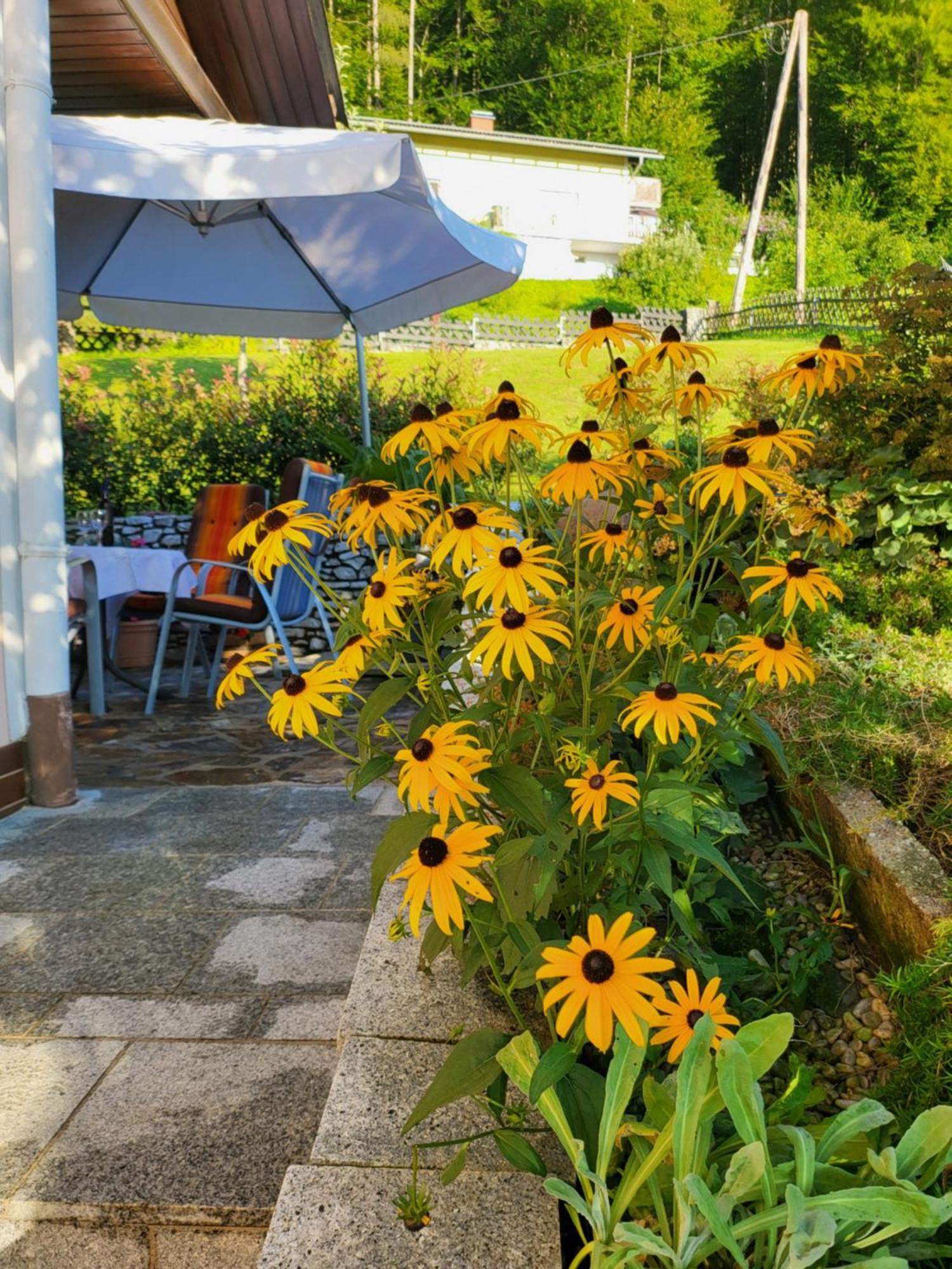 Zangl Am Seggauberg - Suedsteiermark Leibnitz